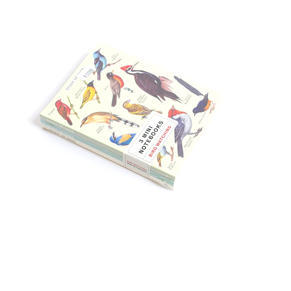 Cavallini, Memo & Notebooks, Art & School, 4"x5.5", Mini, Bird Watching, 572205